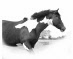 Kerregan Equine Logo